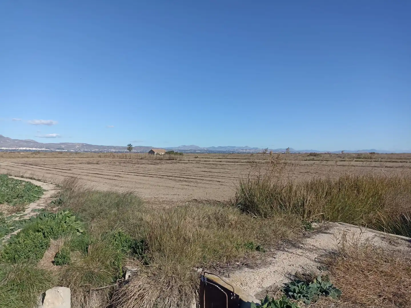Terrain rustique à vendre à Calle la Purísima, imagen 3