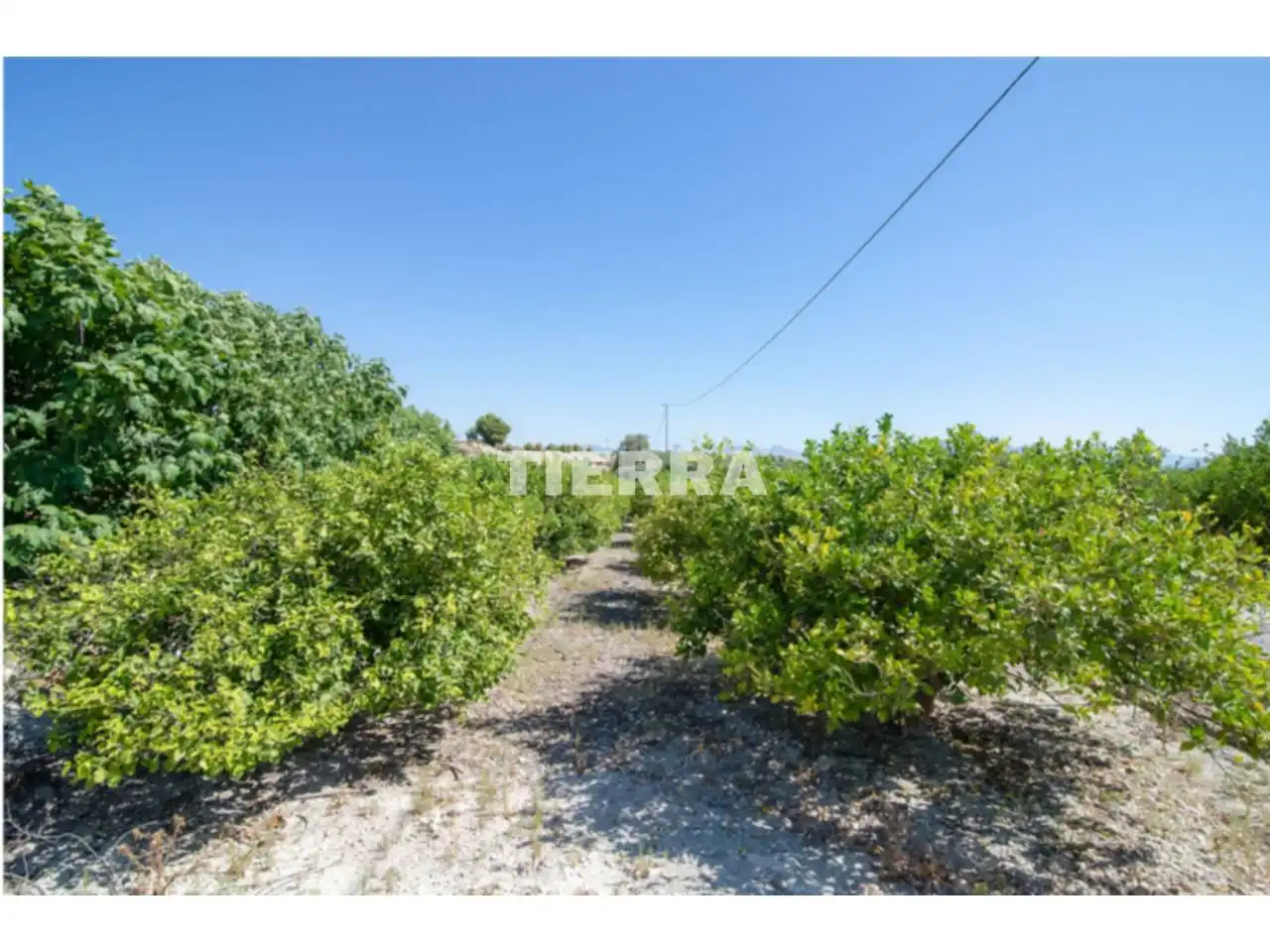 Lands and plots for sale in Poligono El Semolilla, imagen 6