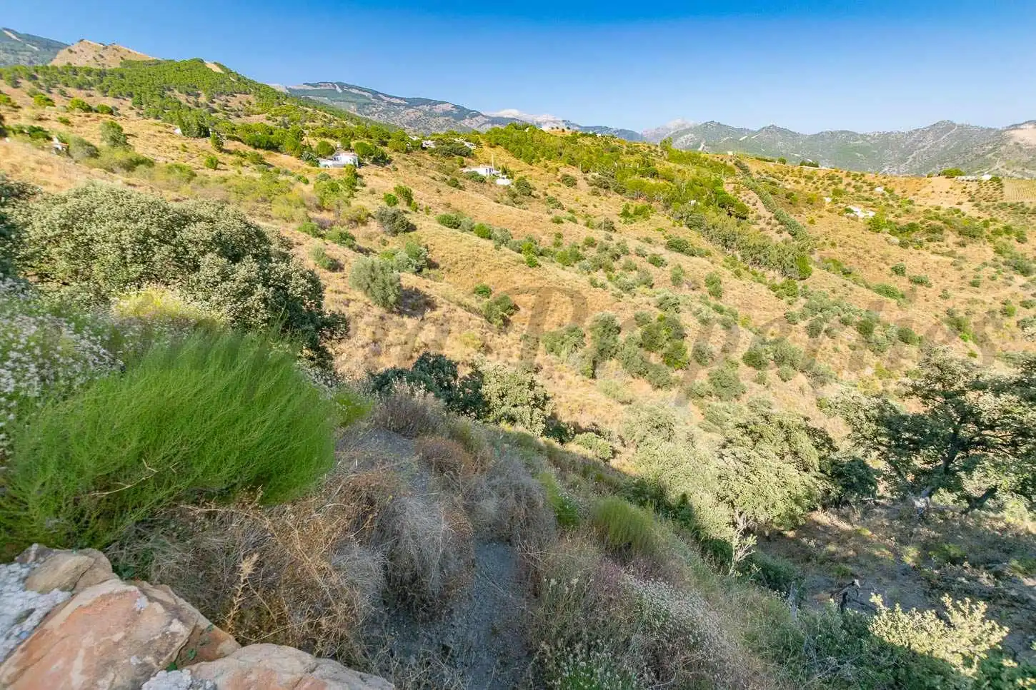 Terreno rustico in vendita a Salares, imagen 4