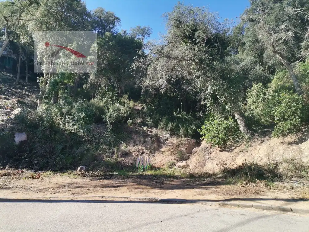 Terreno residencial en venta en Serra Brava, imagen 12
