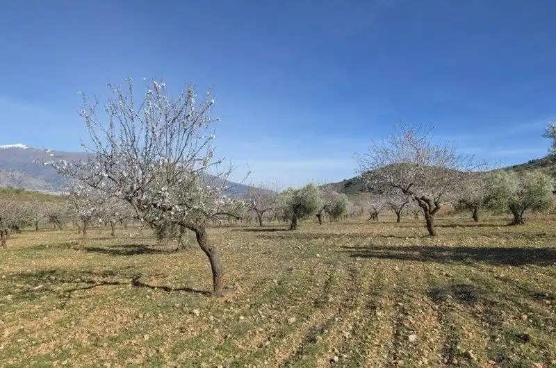 Terreni e lotti in vendita a Travesia Jose Mariano Vallejo, imagen 28