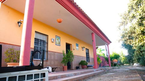 Foto 3 de Casa o chalet en venta en Pilas, Sevilla