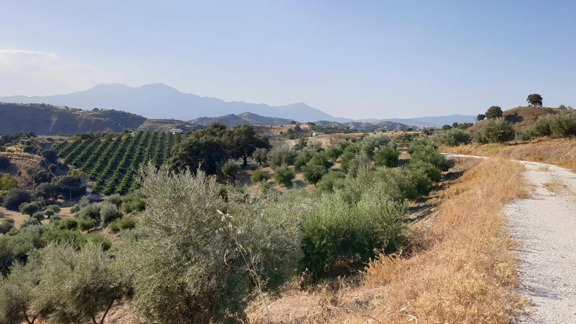 Casa o chalet en venta en Coín con Aire acondicionado, Calefacción y Jardín privado