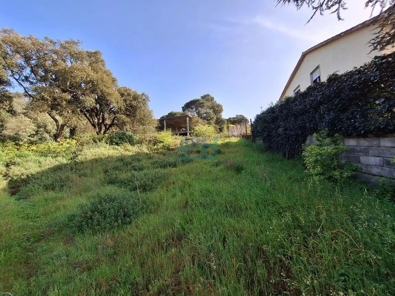 Terreni e lotti in vendita a O Pereiro de Aguiar, imagen 2