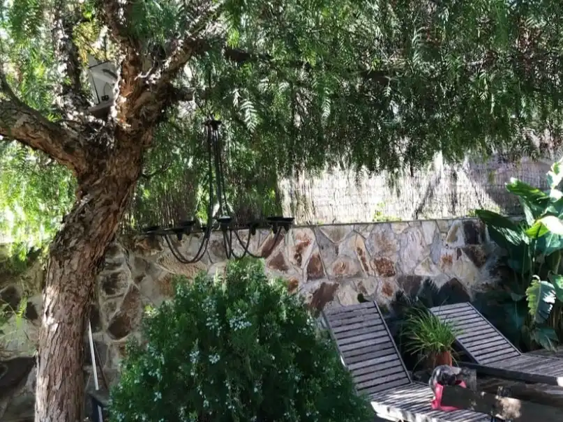 Chalet con piscina en alquiler en Carrer Enric Prat de la Riba 316, imagen 4