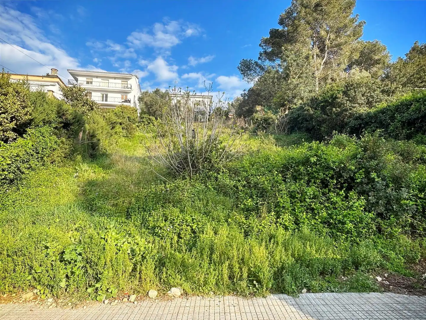 Terreno residencial en venta en Canyelles, imagen 20