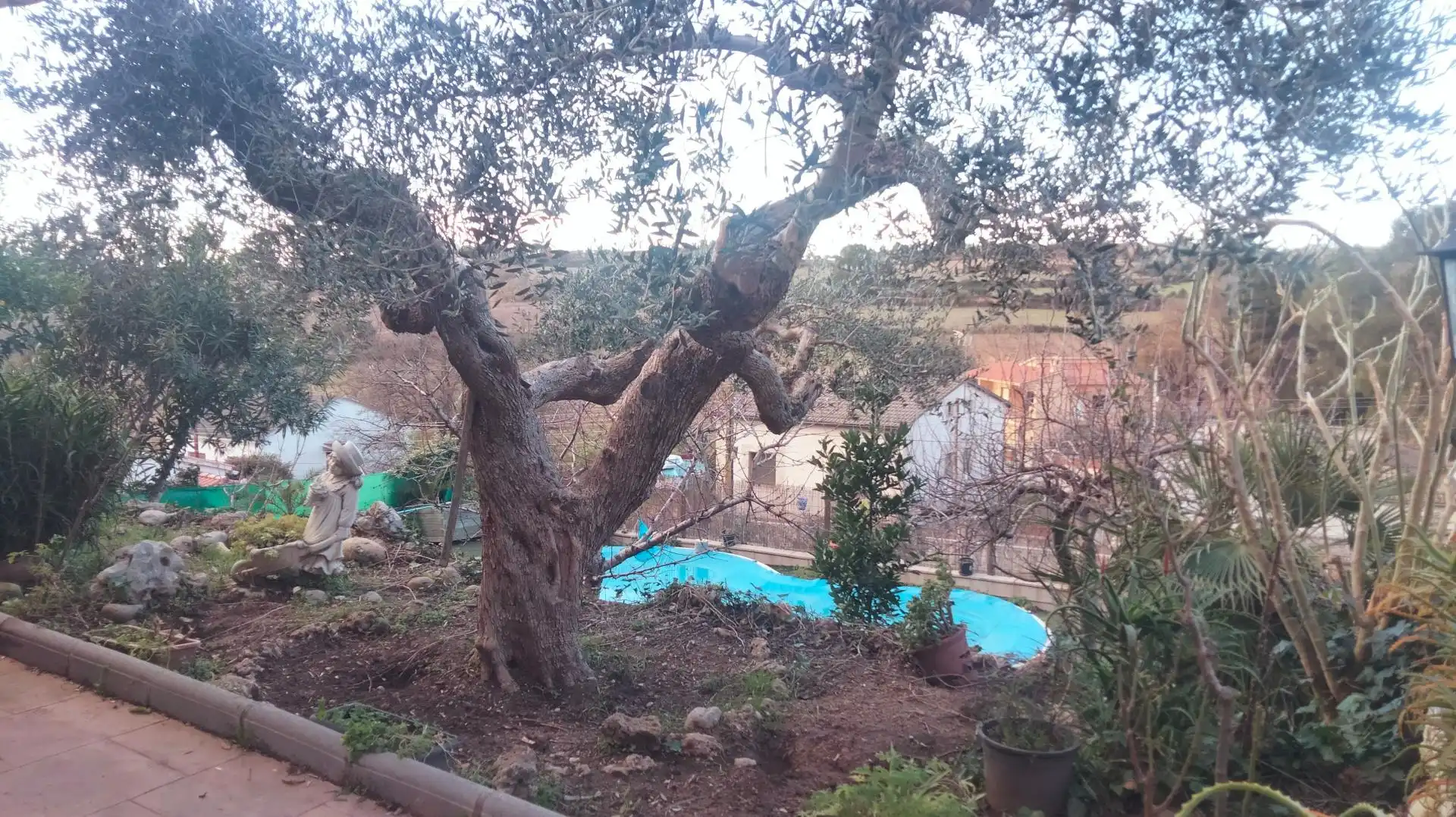 Swimming pool of Houses for sale in Piera  with Heating, Terrace and Swimming Pool