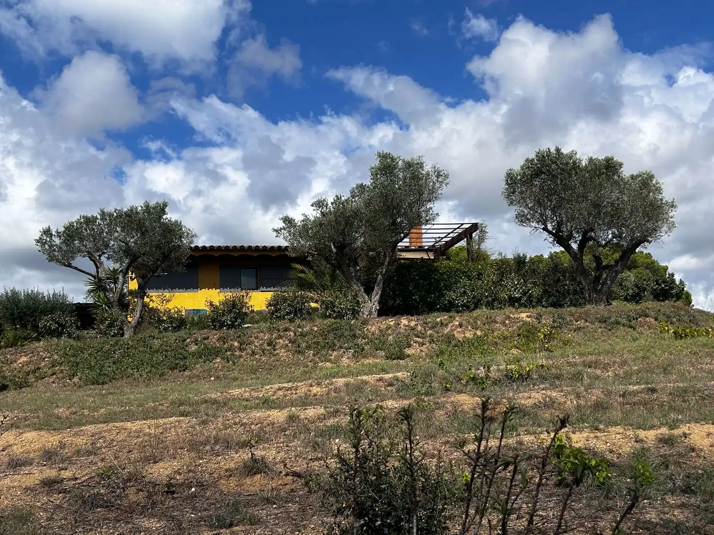 Vista exterior de Finca rústica en venta en Palamós con Jardín privado