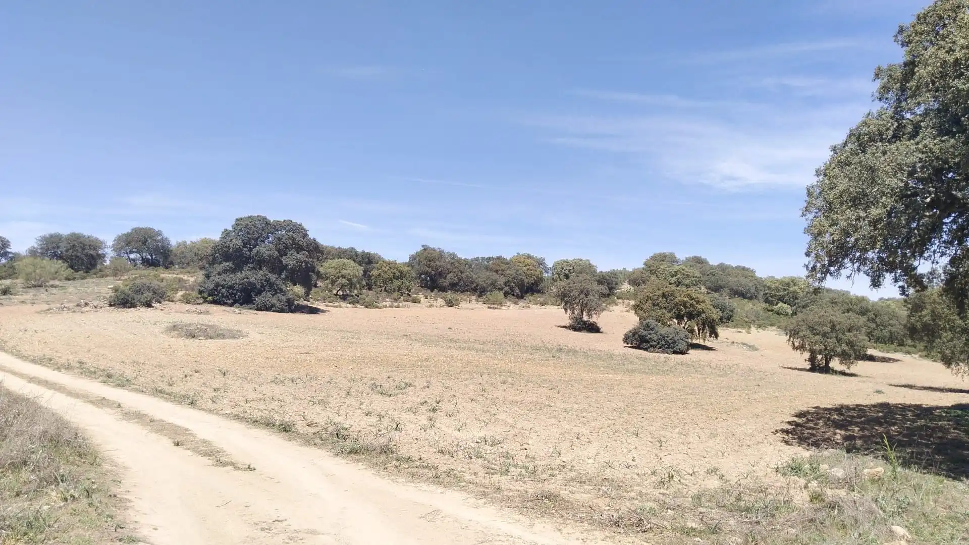 Terrenys i solars en venda a Archidona, imagen 3