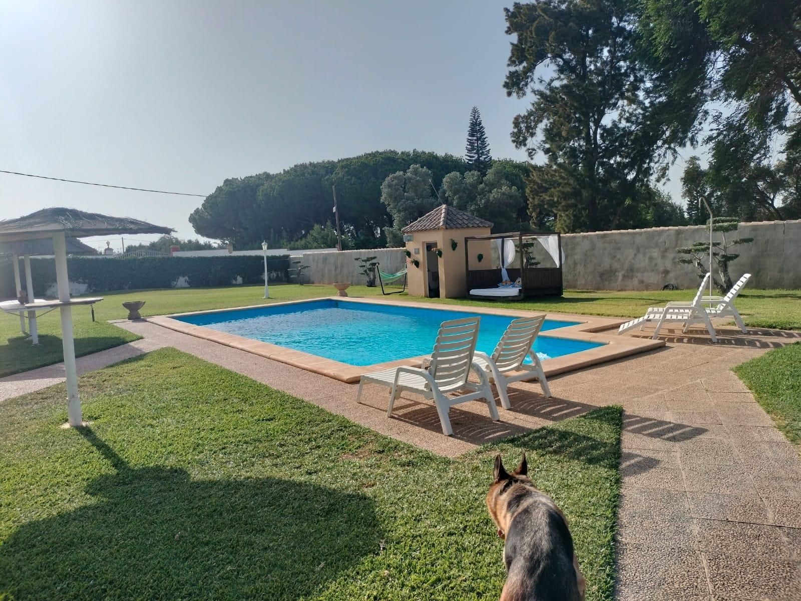 Piscina de Casa o xalet en venda en Puerto Real amb Aire condicionat, Jardí privat i Piscina