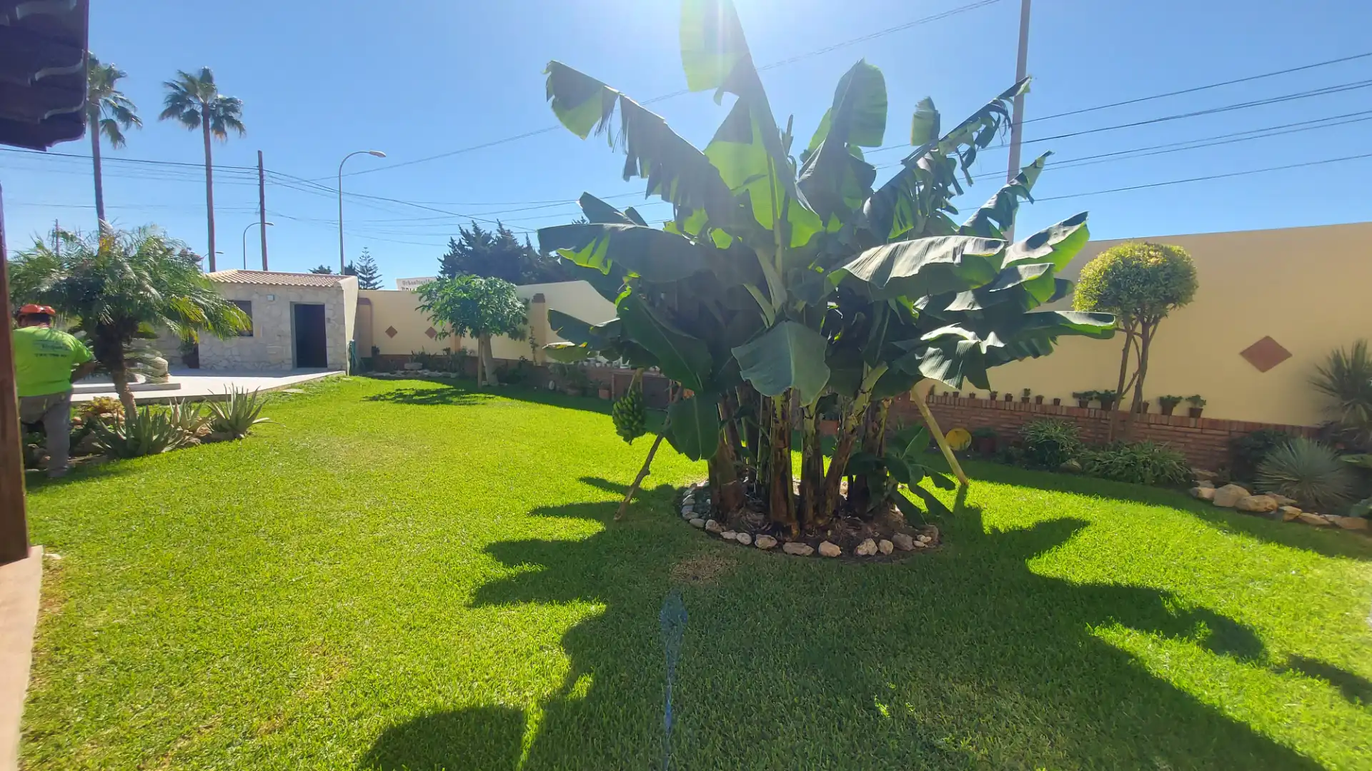 Jardí de Casa o xalet en venda en Vélez-Málaga amb Piscina