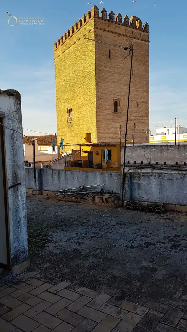 Vista exterior de Casa o chalet en venta en La Algaba con Jardín privado, Terraza y Trastero