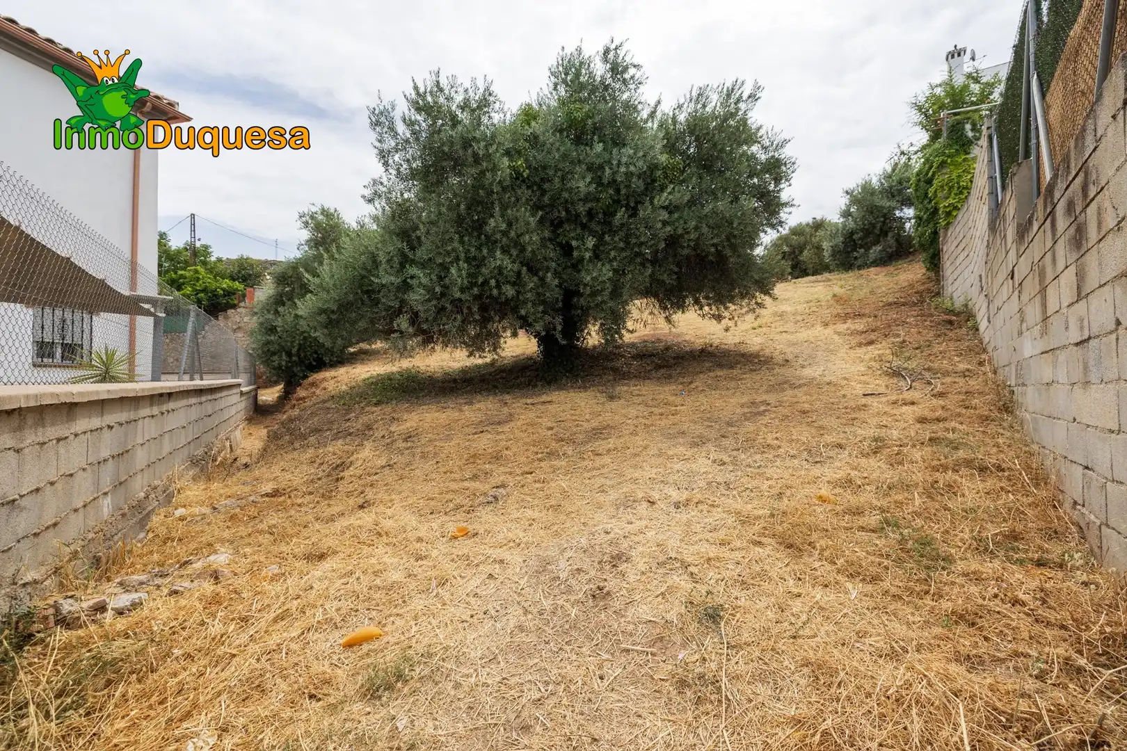 Terreni e lotti in vendita a Nívar, imagen 14