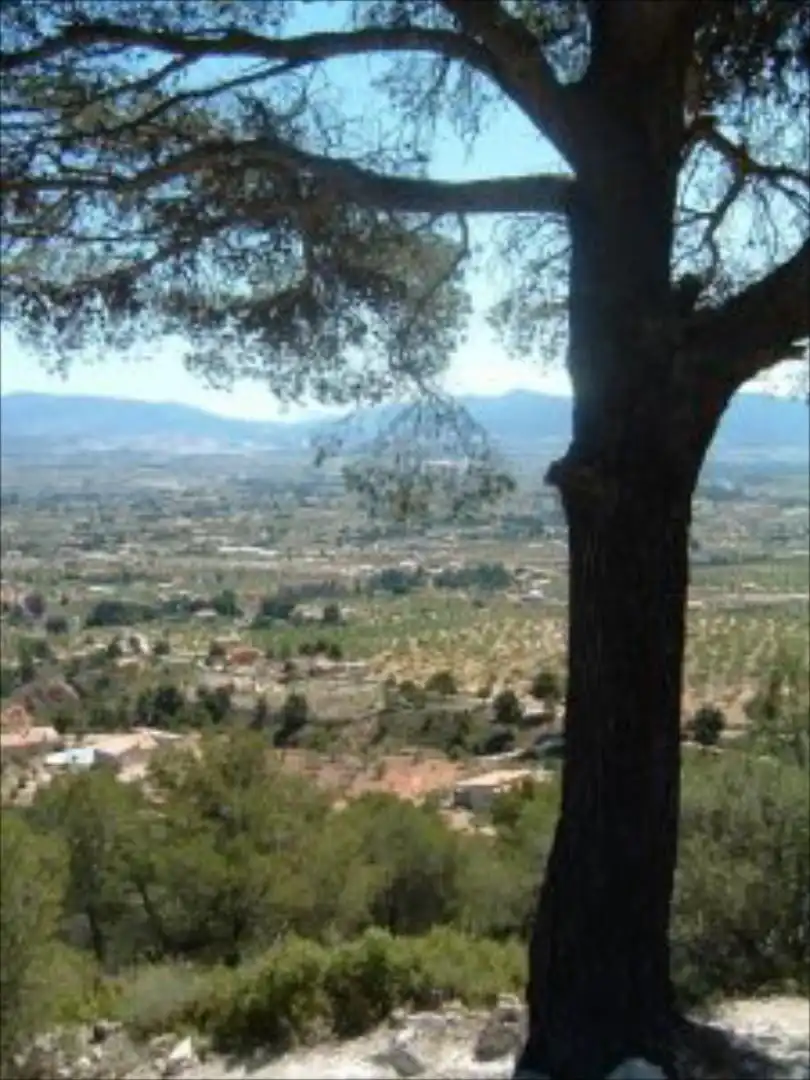 Terreno rustico in vendita a Castalla, imagen 6