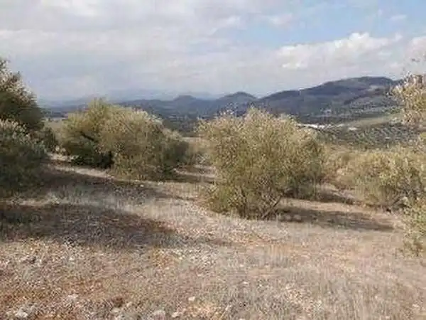 Terreni e lotti in vendita a Alcaudete, imagen 13
