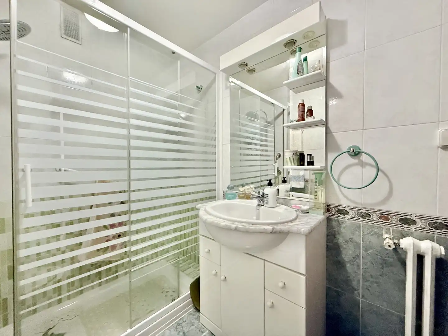 Bathroom of Flat for sale in Madrid  with Heating, Parquet flooring and Terrace