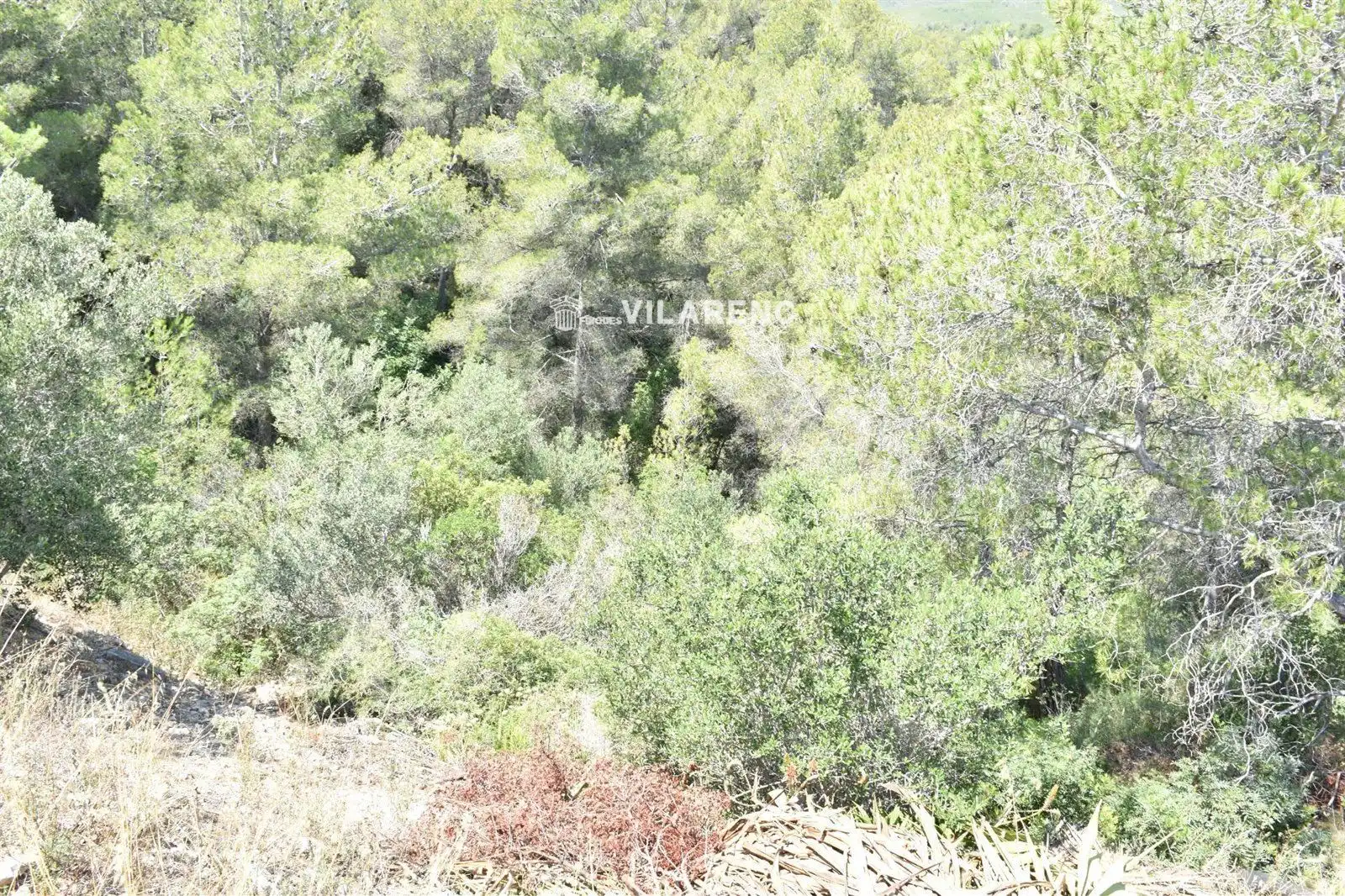 Rural land for sale in TER-UR CAN GORDEI, imagen 3