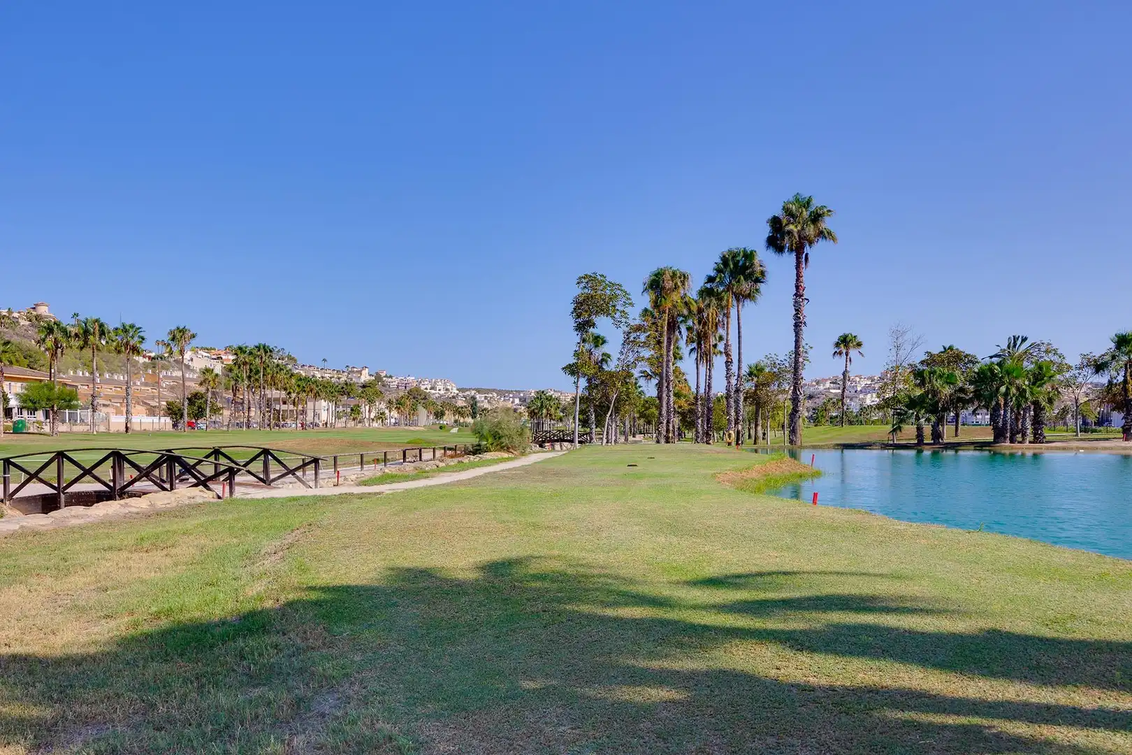 Vista exterior de Apartamento en venta en Rojales con Terraza y Piscina comunitaria