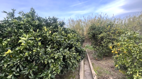 Photo 3 of Residential for sale in Perdut, L'Énova, Valencia