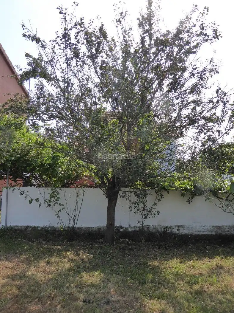 Casa amb jardí de lloguer a Rúa Xaviña 35, imagen 30