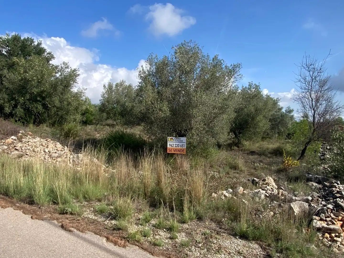 Terrain résidentiel à vendre à Chella, imagen 4