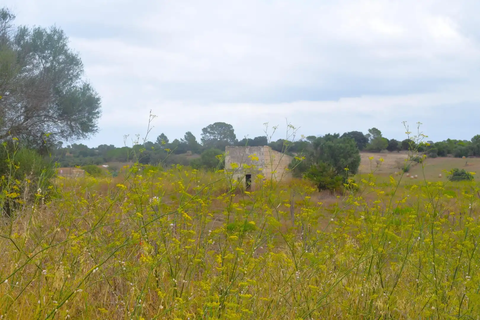 Residential land for sale in Santa Margalida Poble, imagen 2