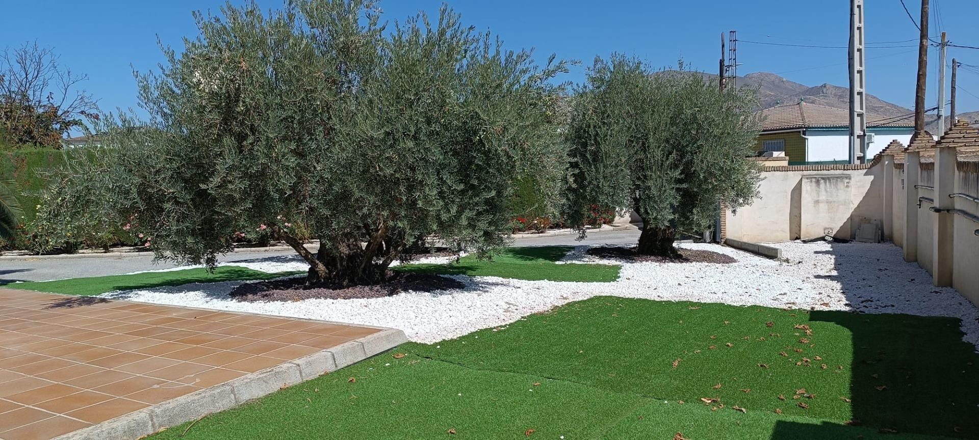 Jardí de Casa o xalet en venda en Fuente Vaqueros amb Aire condicionat, Calefacció i Jardí privat