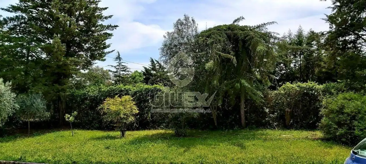 Casa rústica amb jardí en venda a Sierra de Fuentes, imagen 24