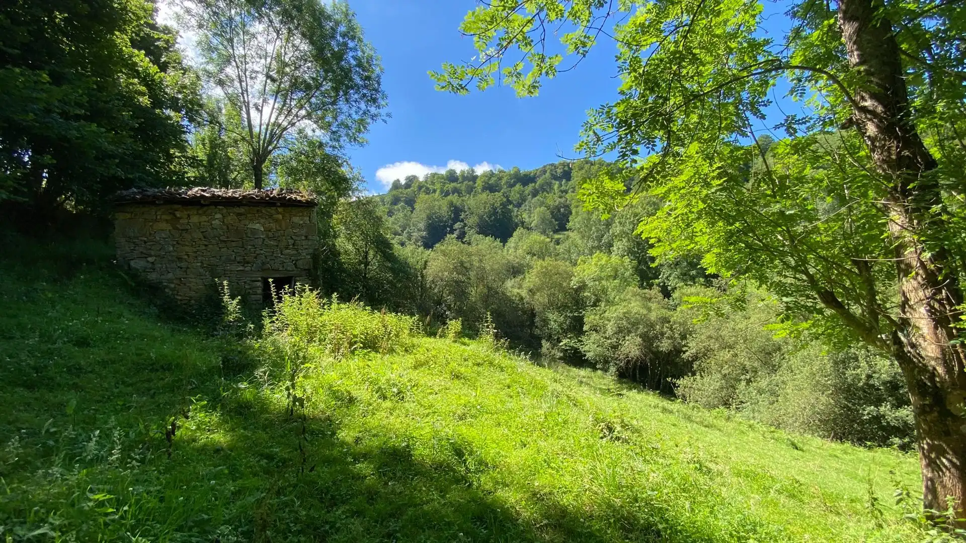 Terreno en venta en PRIESCA, Ponga