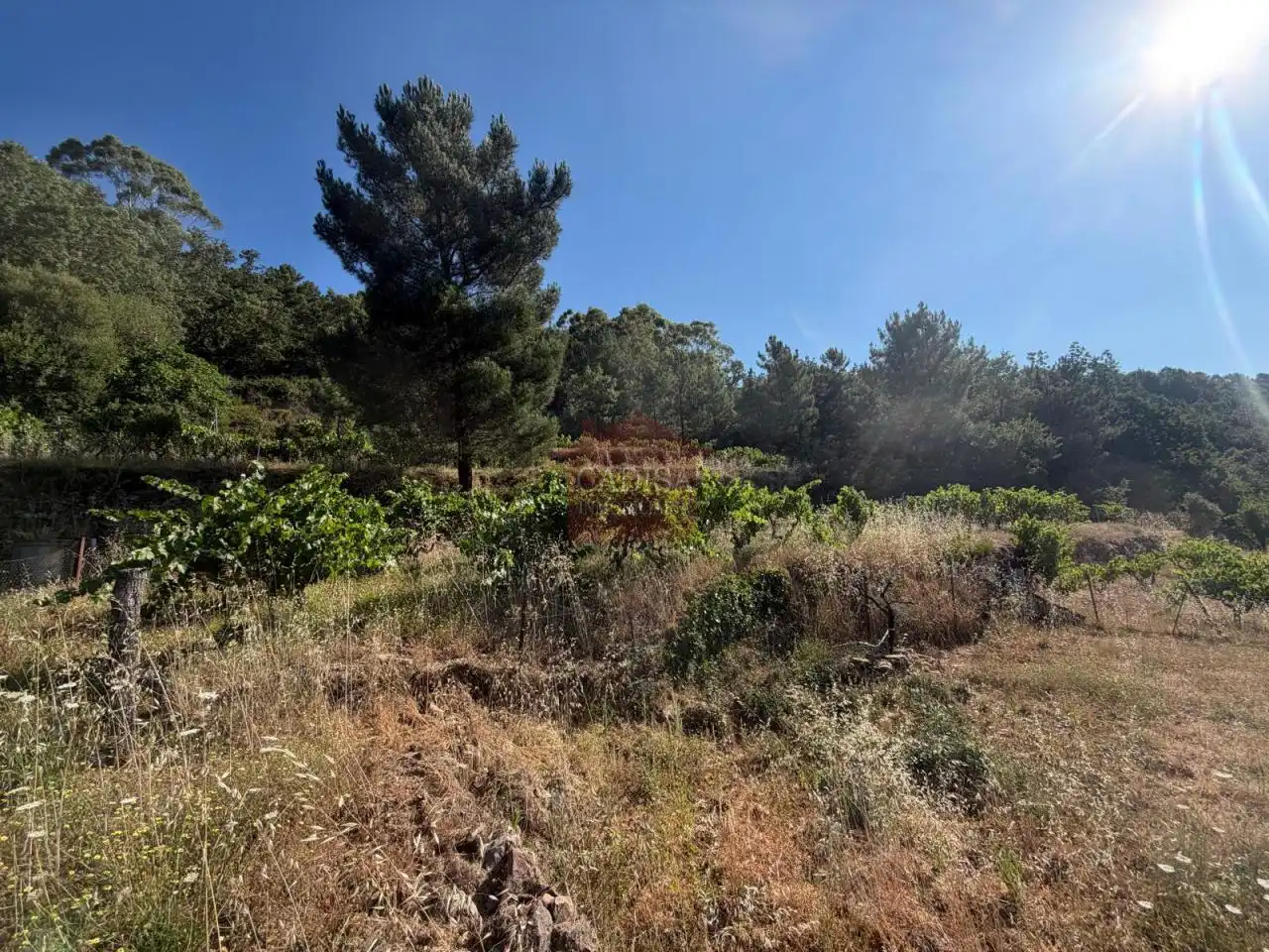 Grundstücke zum Verkauf in Garcibuey, Salamanca