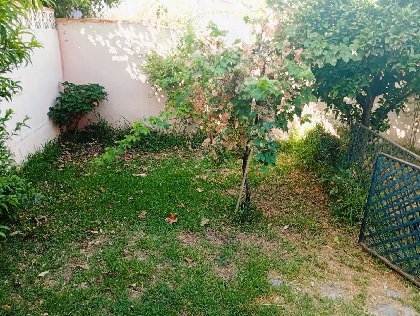 Detached homes for sale in Estepona  with Private garden and Terrace