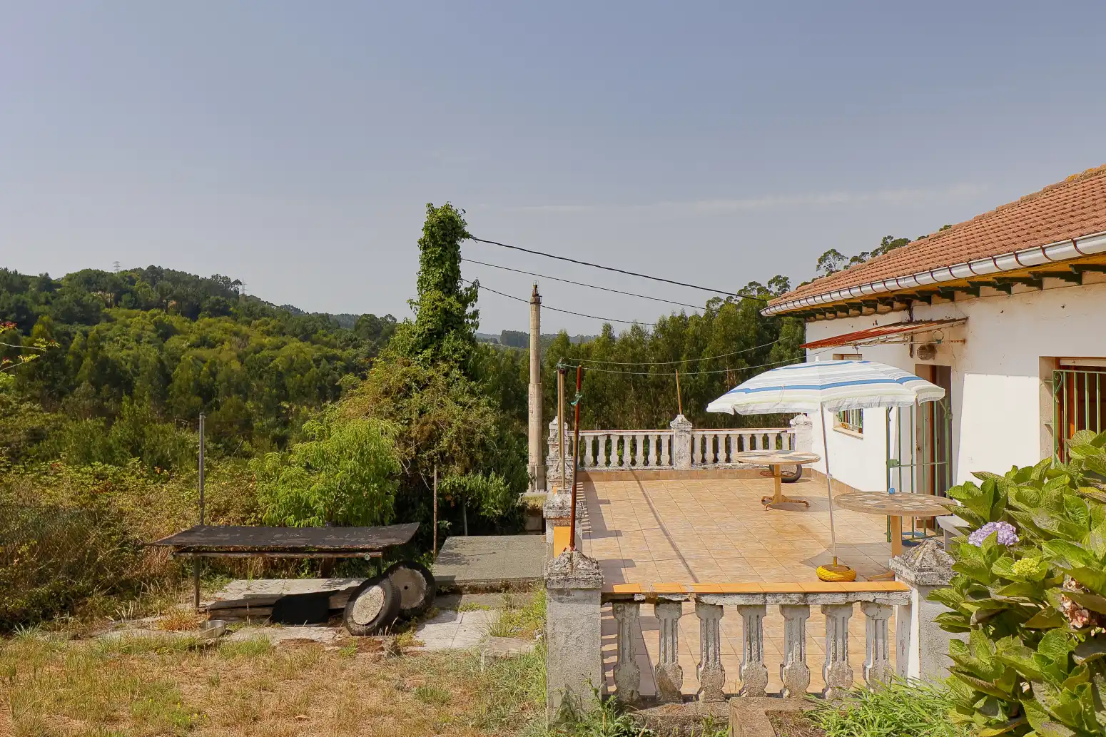 Jardín de Casa o chalet en venta en Carreño