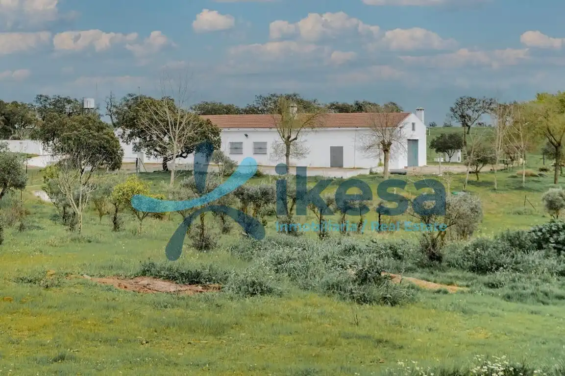 Land for sale in Puebla de Guzmán
