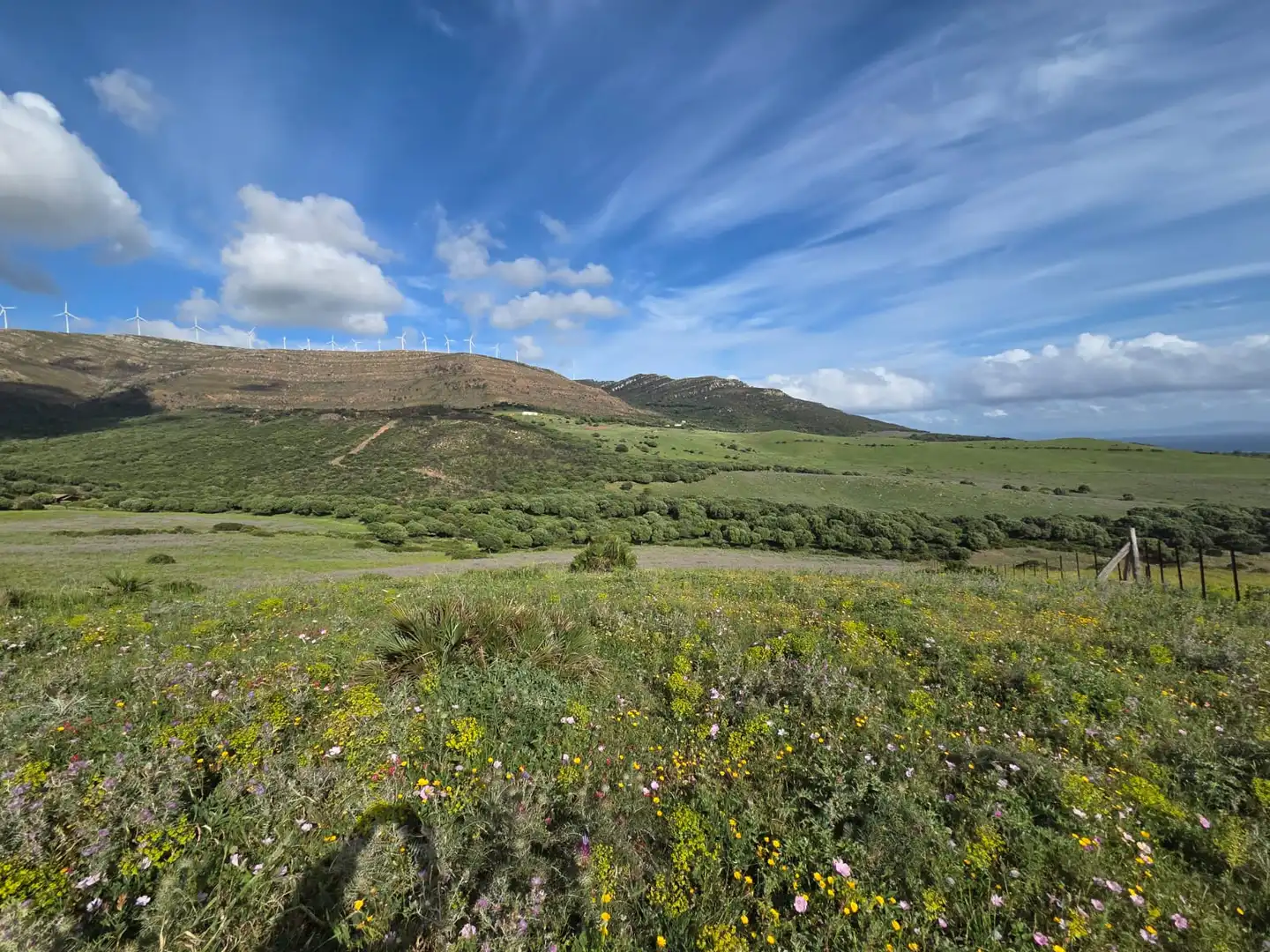 Terreno en venta en Tarifa