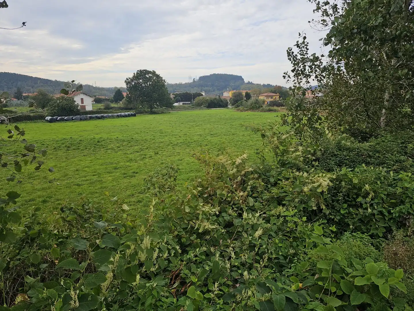 Terreni e lotti in vendita a Covadonga - Campuzano - Ciudad Vergel, imagen 4