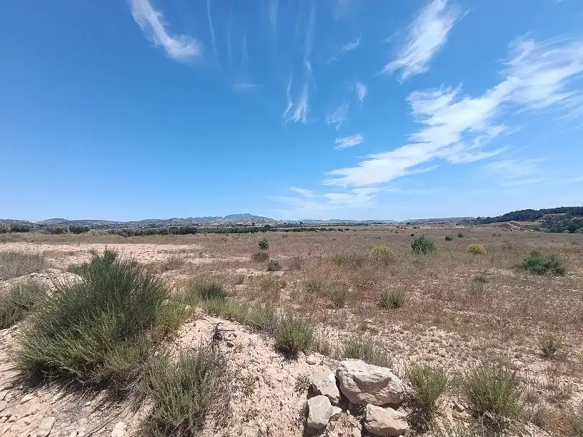 Lands and plots for sale in Mula, imagen 28