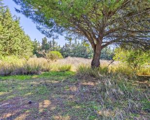 Country house for sale in Chiclana de la Frontera  with Terrace and Storage room