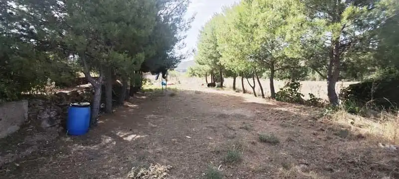 Casa o chalet en venta en Camino DISEMINADOS, Torralba de Ribota