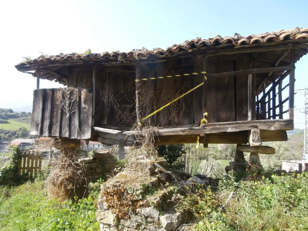 Maison à vendre à Grado, imagen 5
