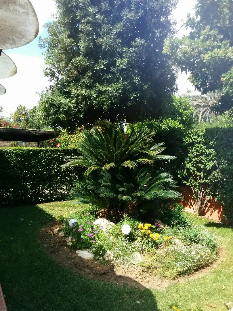 Jardí de Casa o xalet en venda en Alcalá de Guadaira amb Aire condicionat, Calefacció i Jardí privat