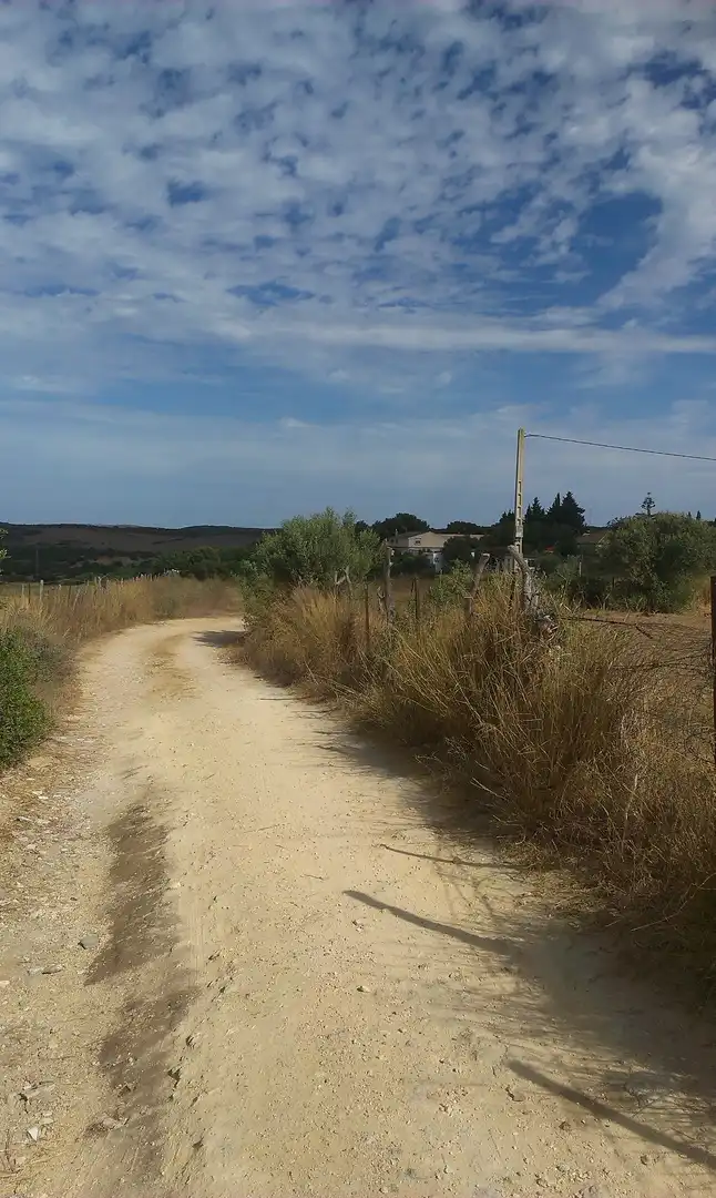 Terreno rustico in vendita a Benalup-Casas Viejas