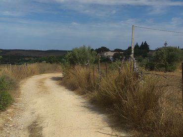 Rustikales Grundstück zum Verkauf in Benalup-Casas Viejas