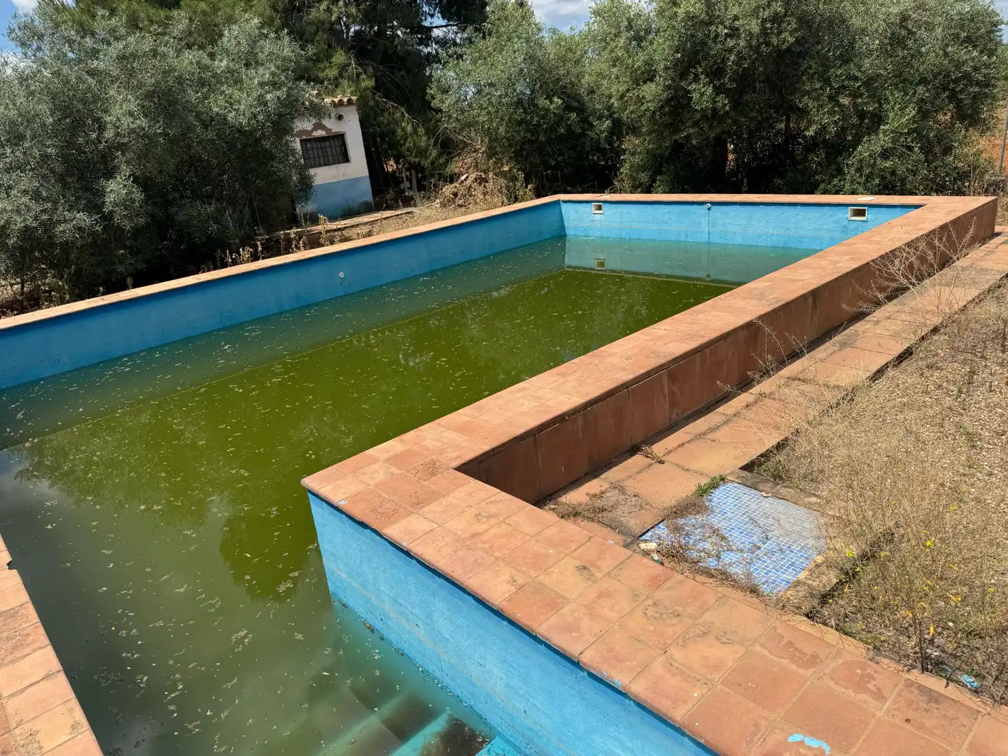 Schwimmbecken von Gebäude zum Verkauf in Marchena mit Gemeinschaftspool