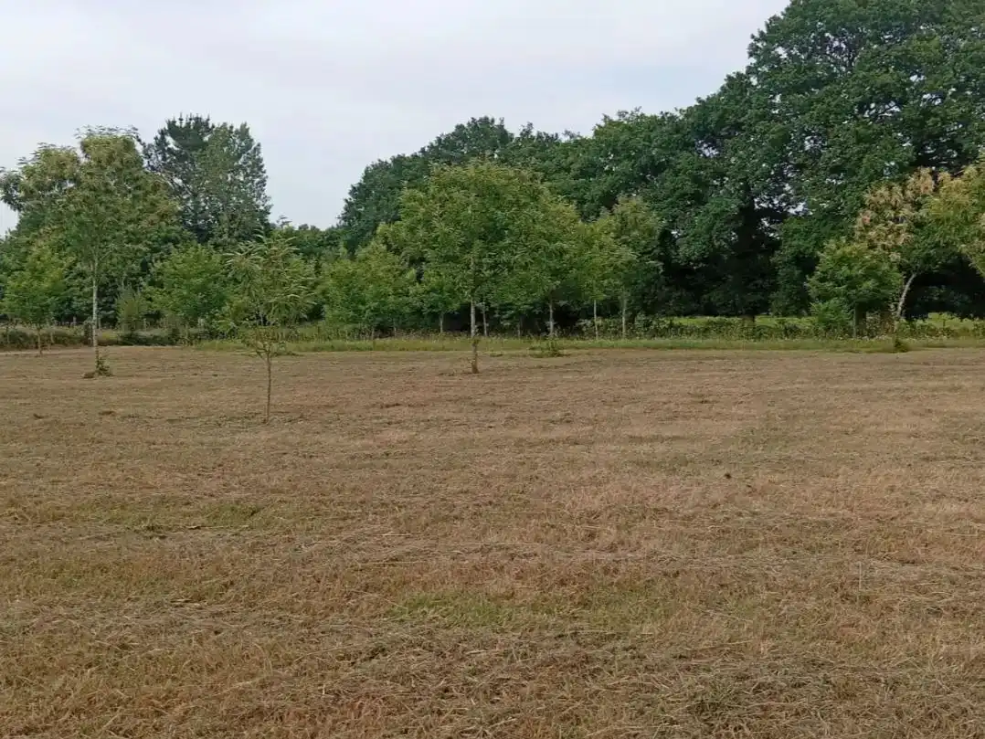 Wohnbaugrundstück zum Verkauf in Lugar  Recareo, imagen 18