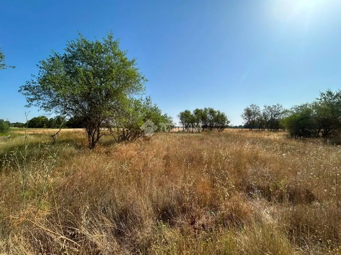 Rural land for sale in Laguna de Duero, imagen 9