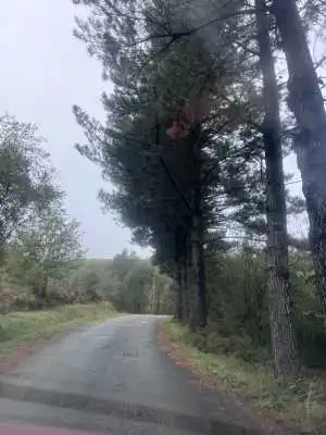 Finca rústica en venta en Luena 