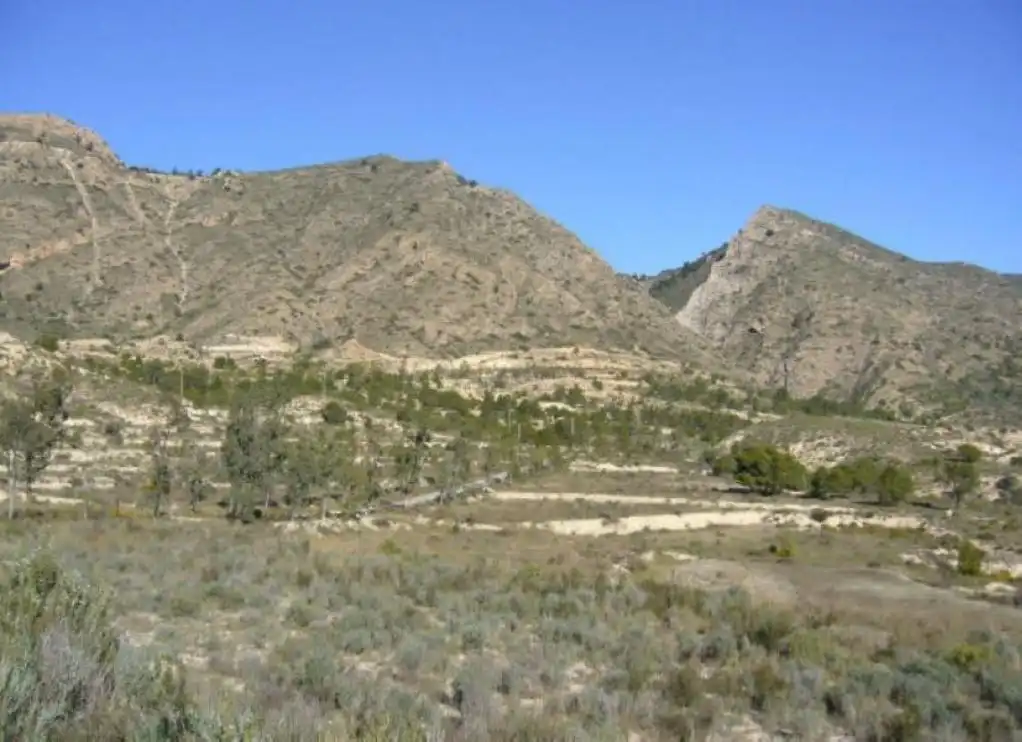 Terreno rustico in vendita a PALOMARETS (ELS), imagen 2