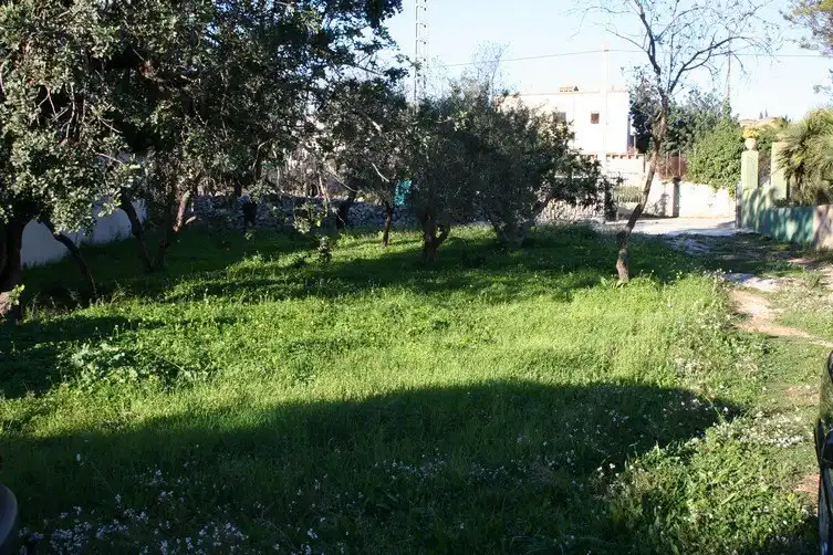 Casa rustica con giardino in vendita a Gata de Gorgos, imagen 13