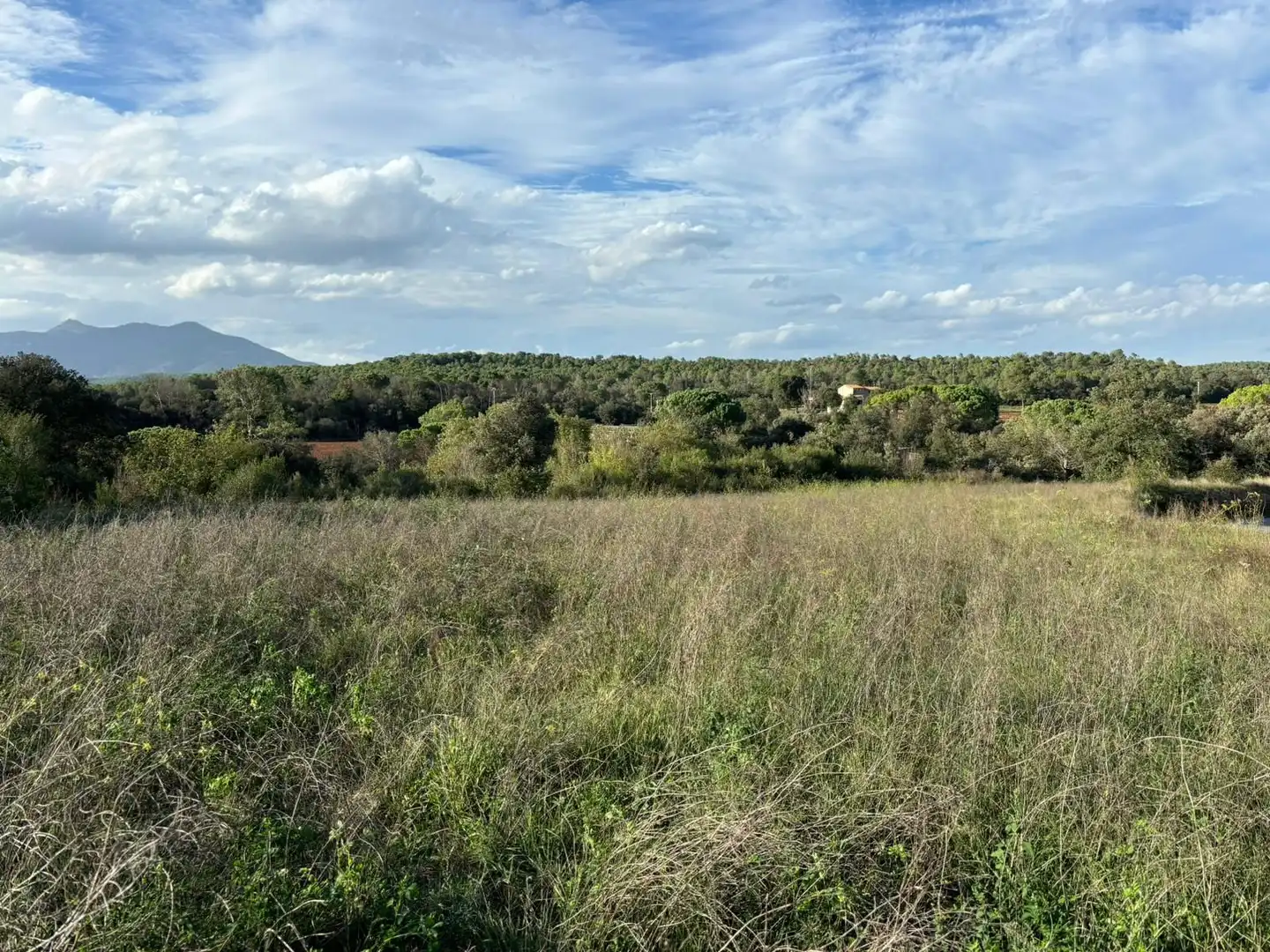 Rural land for sale in Crespià, imagen 5