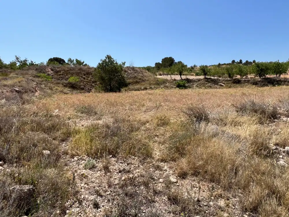 Terreny residencial en venda a La Murada - Los Vicentes, imagen 30